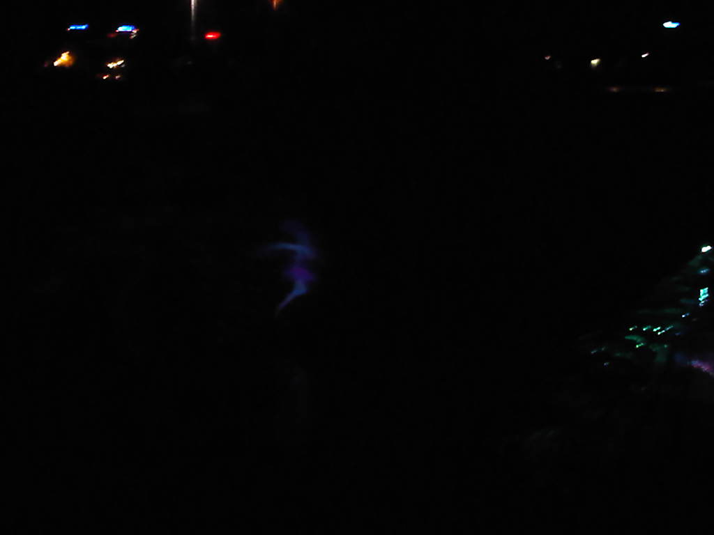 IMG00169-20110419-2206