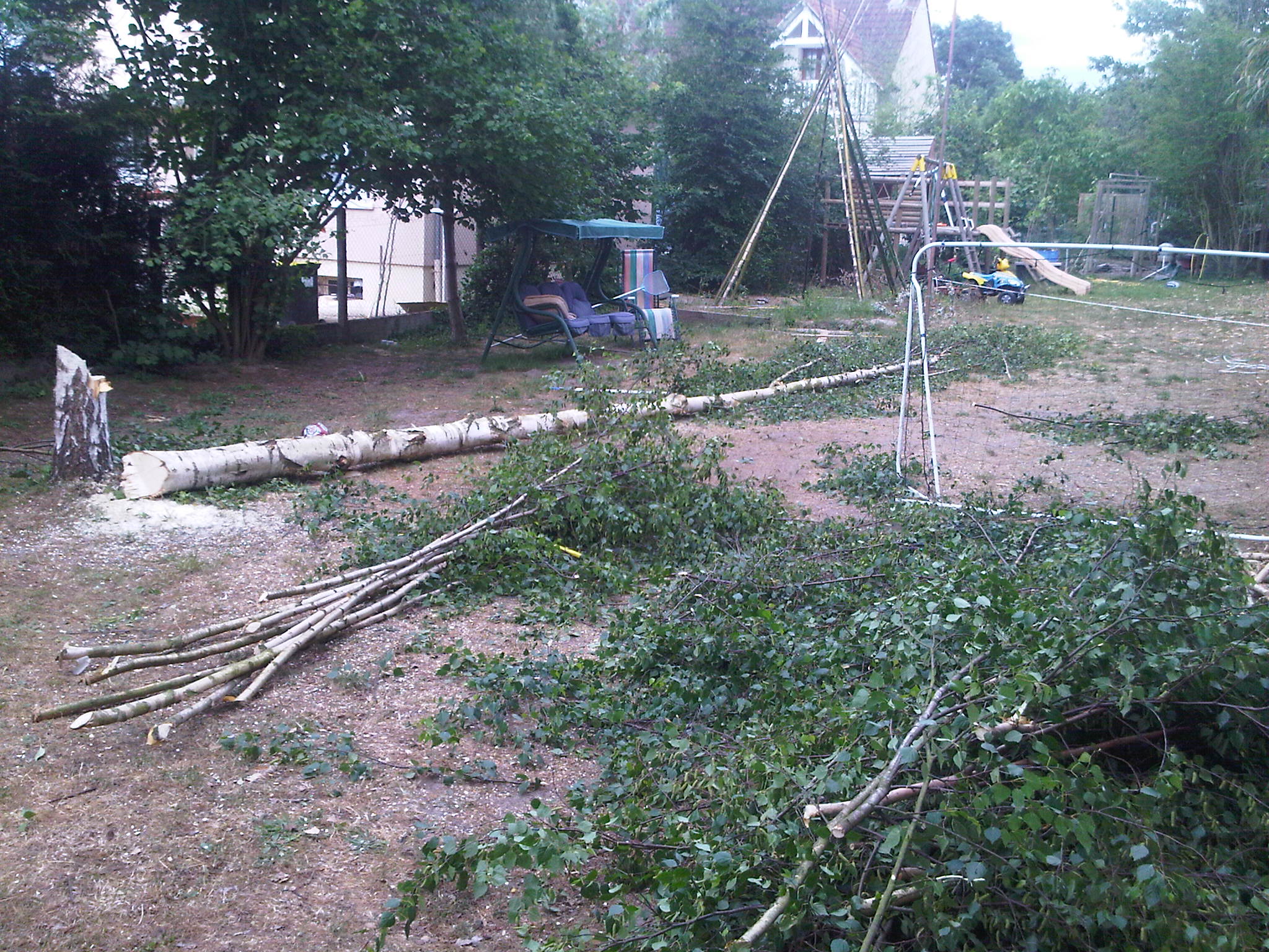 IMG00199-20110526-1722