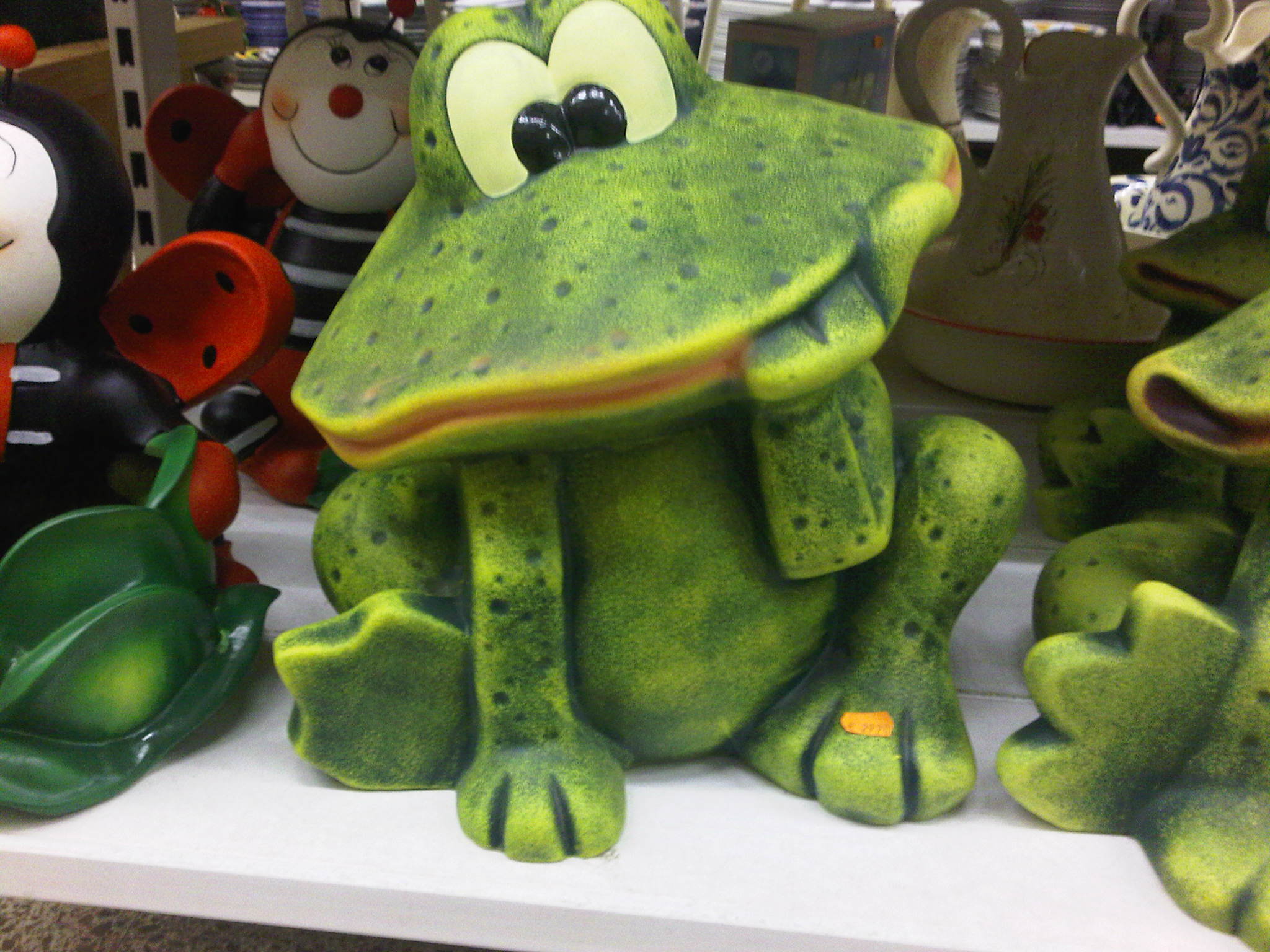 IMG00250-20110719-1902