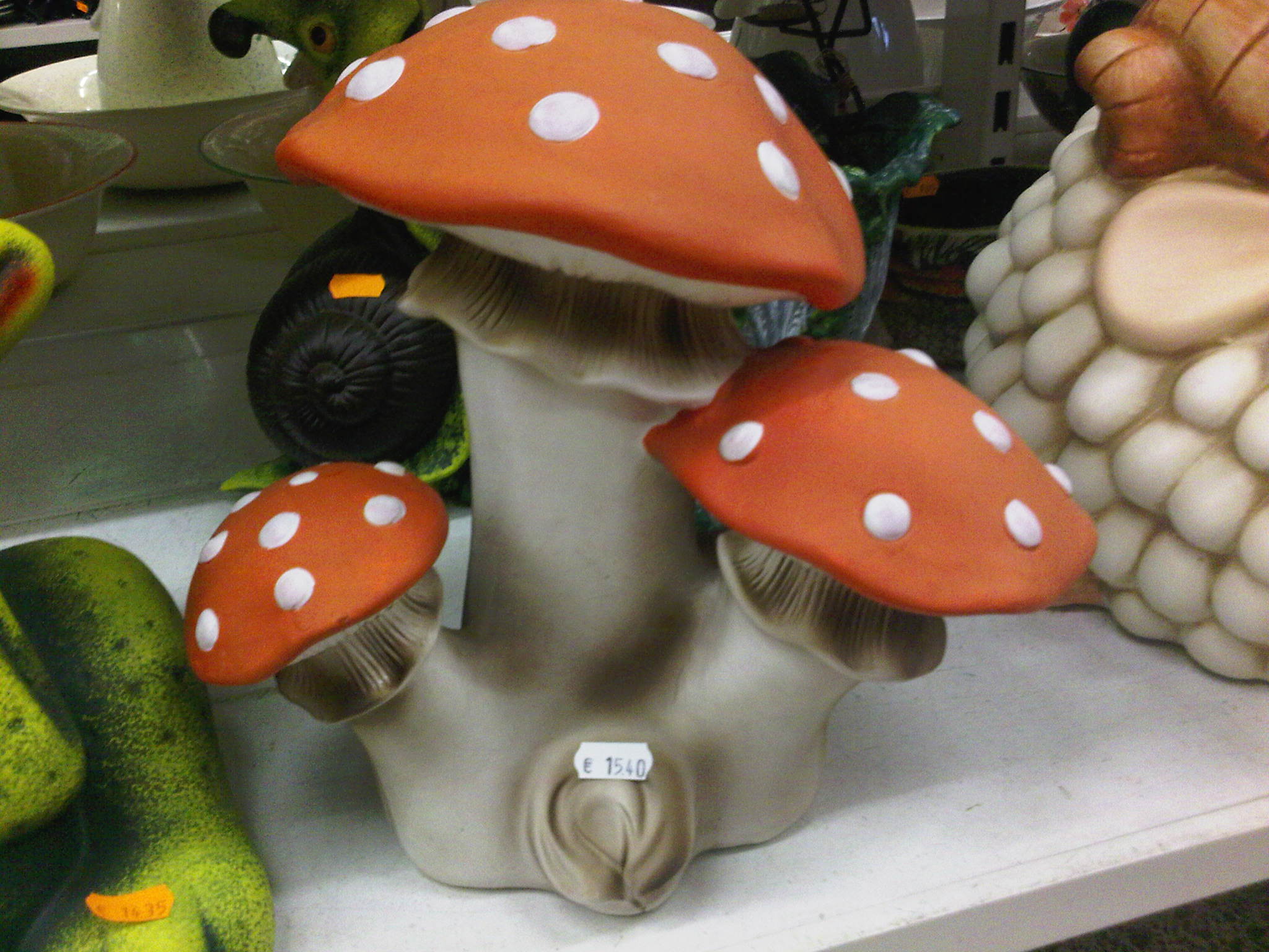 IMG00252-20110719-1902