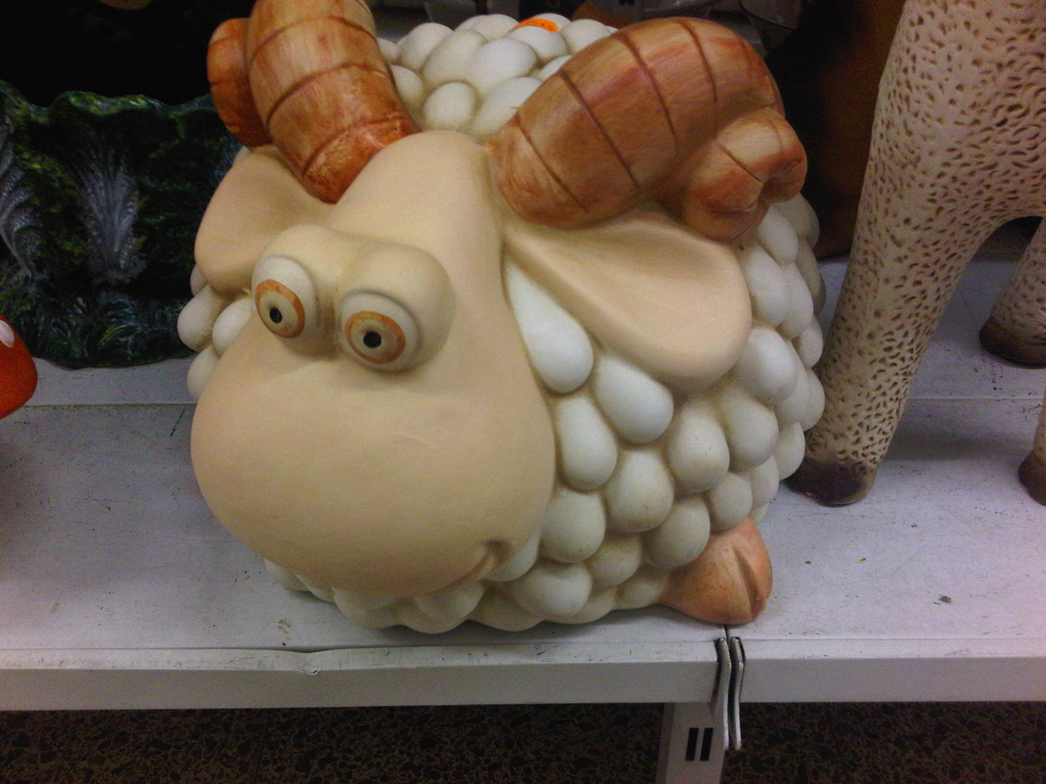 IMG00253-20110719-1902