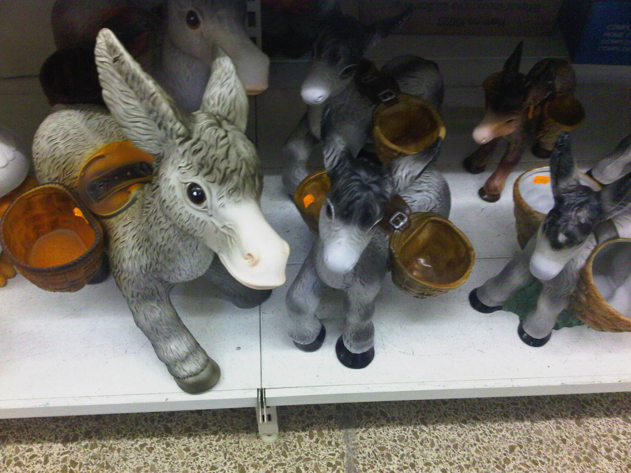 IMG00254-20110719-1903