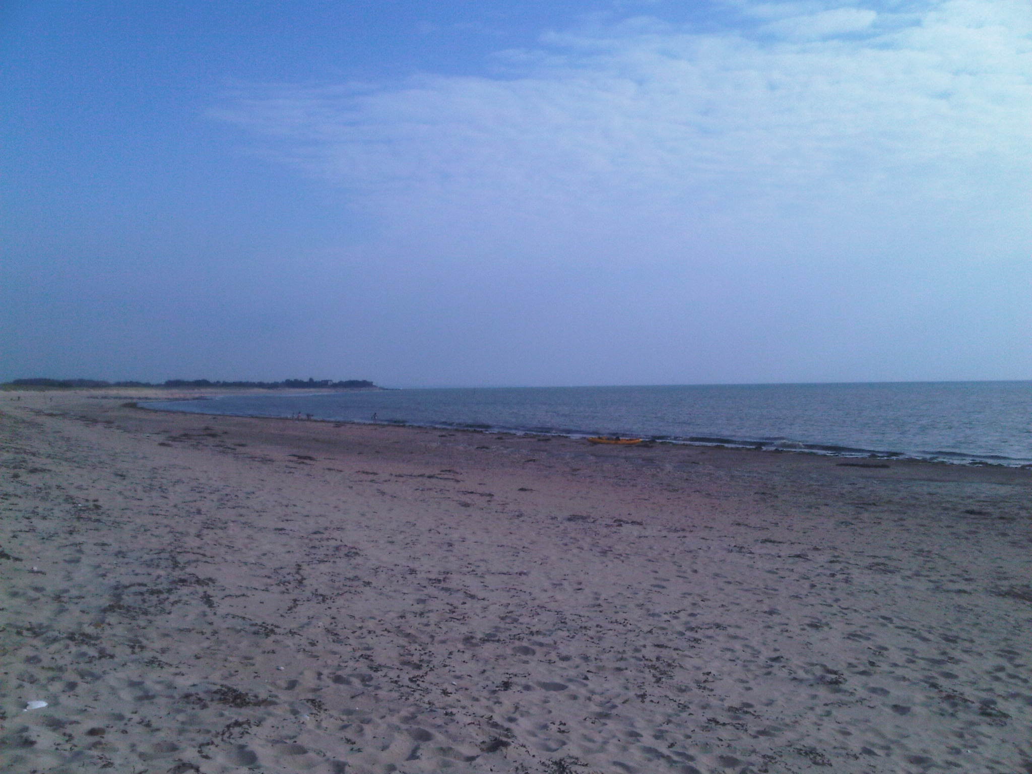 IMG00267-20110729-1846