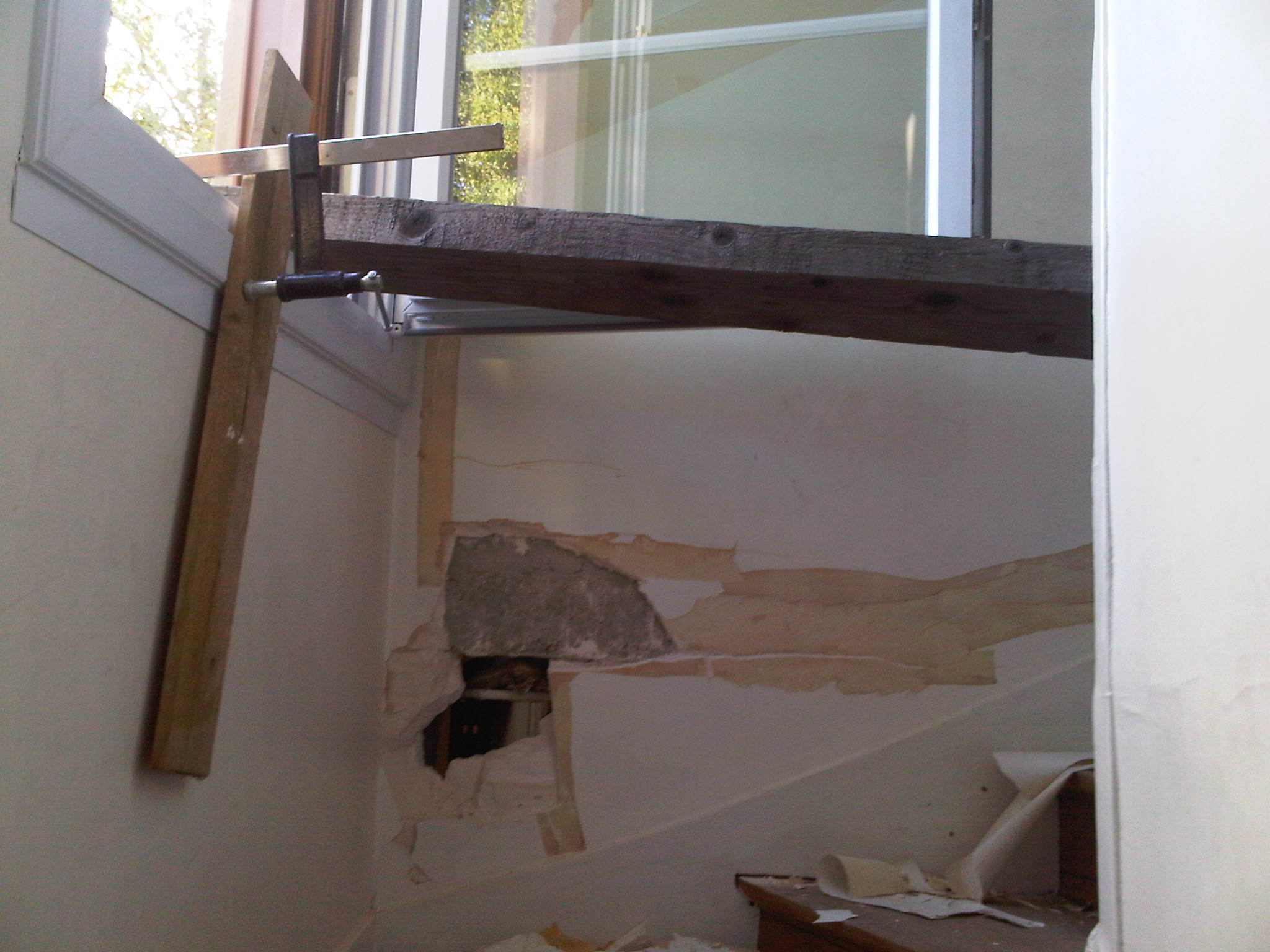 IMG00273-20110815-1903