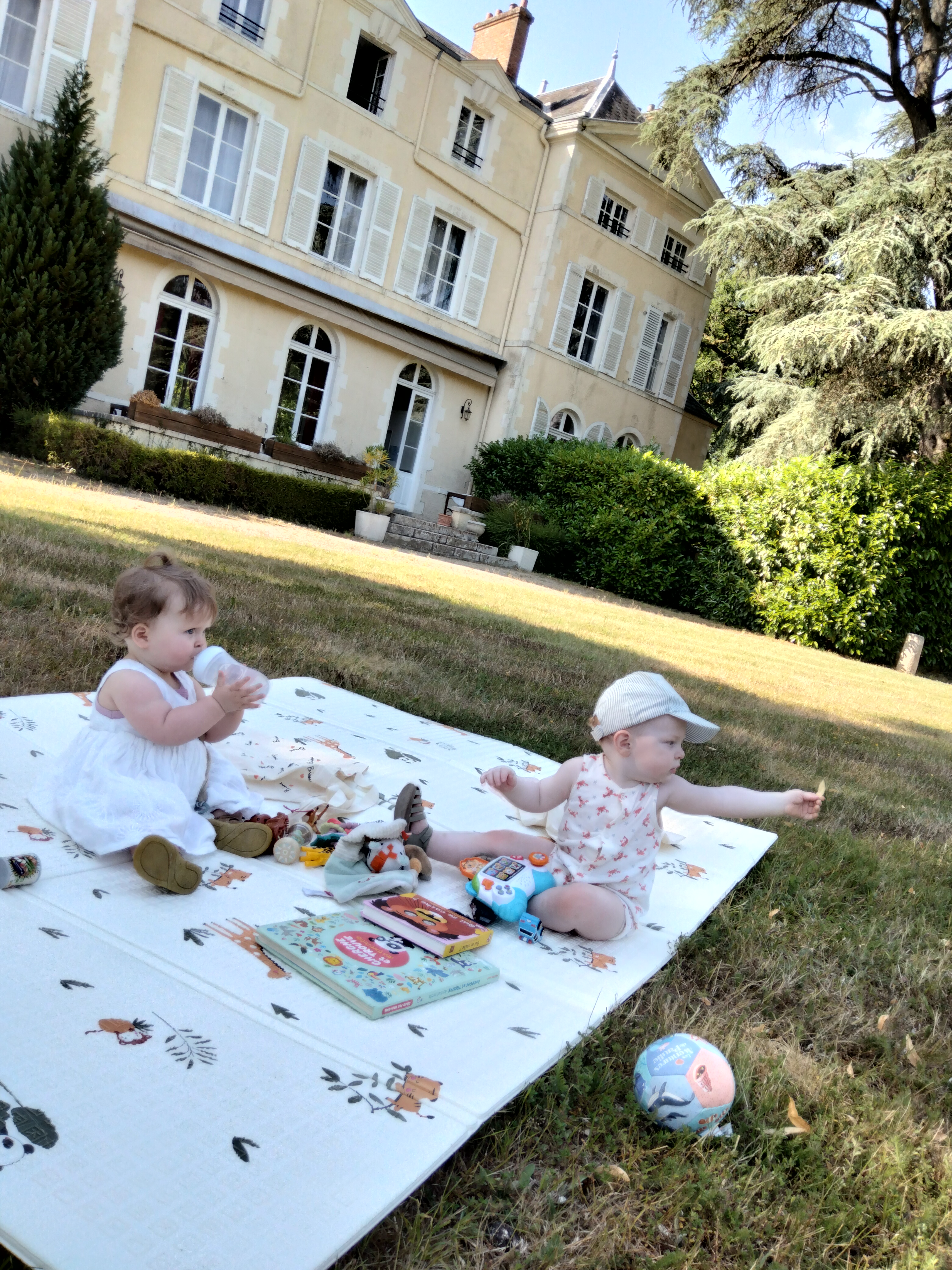 photo_6a38355d7deaa
